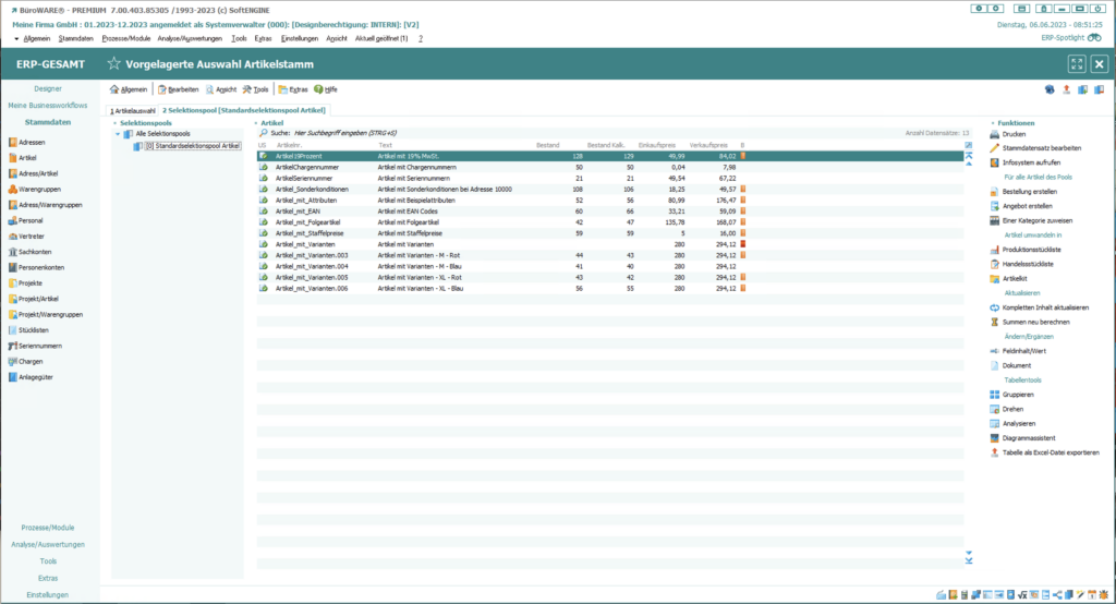 Screen aus der SoftENGINE ERP-SUITE zum Thema Selektionspool