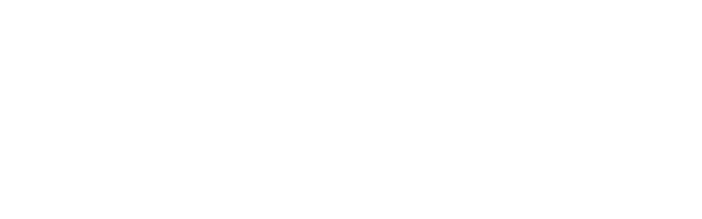 SoftENGINE Showtime Logo